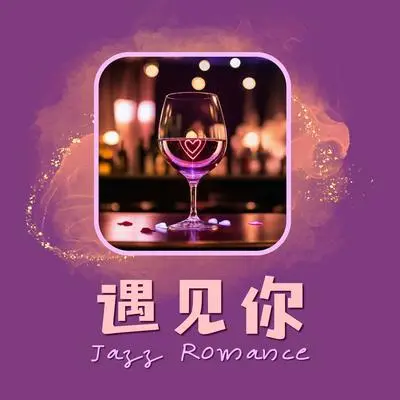 度过漫长的夜晚封面