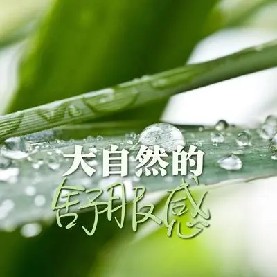 疗愈的音乐封面