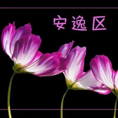 爵士封面