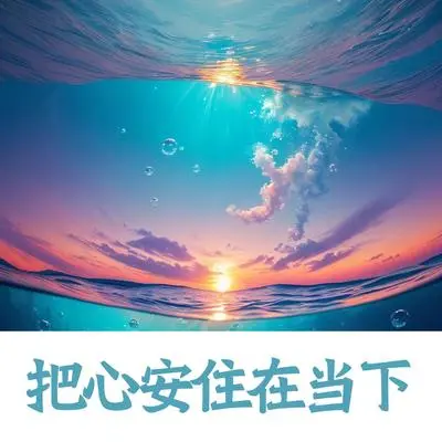 夕阳下的漫步封面