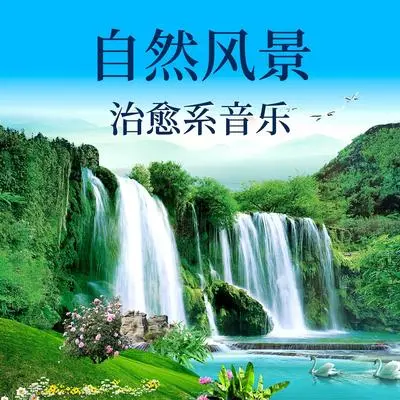 雨和鸟的声音封面