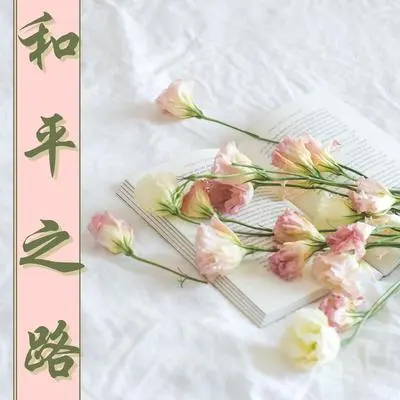 和平封面