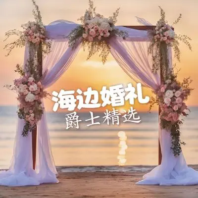沙滩上的誓言封面