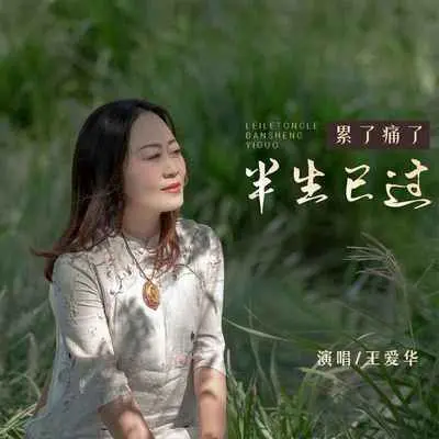 累了痛了半生已过(DJ默涵版)封面