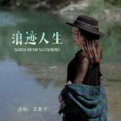 浪迹人生(DJ默涵深情版)封面