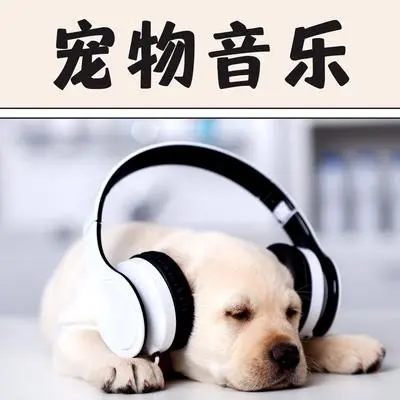 轻松听的音乐 - 动物音乐封面