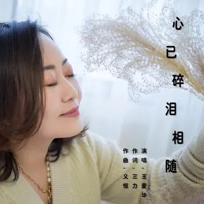 心已碎泪相随(伴奏) - 王爱华封面