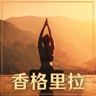 疗愈的大自然之音封面