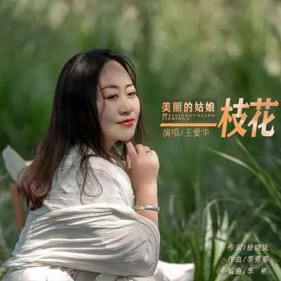 美丽的姑娘一枝花(DJ默涵版伴奏)封面