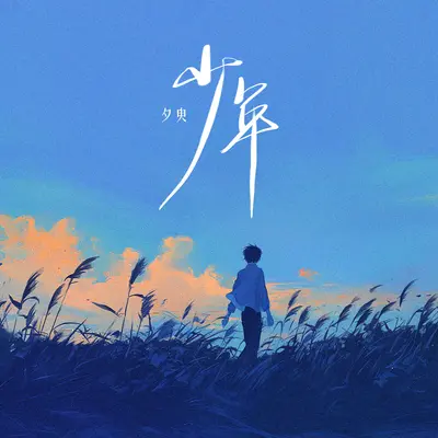 少年pt.2封面