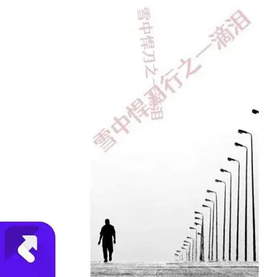 雪中悍刀行之一滴泪封面