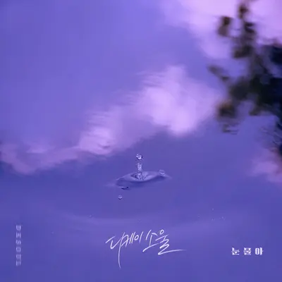 눈물아封面