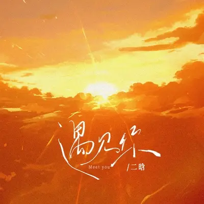 遇见你(就像生命里落下一束光)封面