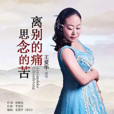 离别的痛思念的苦(DJ默涵版) - 王爱华封面
