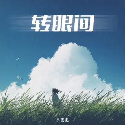 转眼间封面