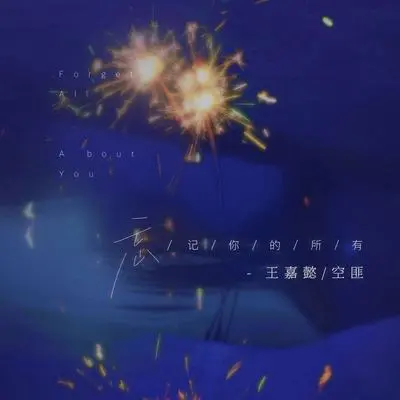 忘记你的所有封面