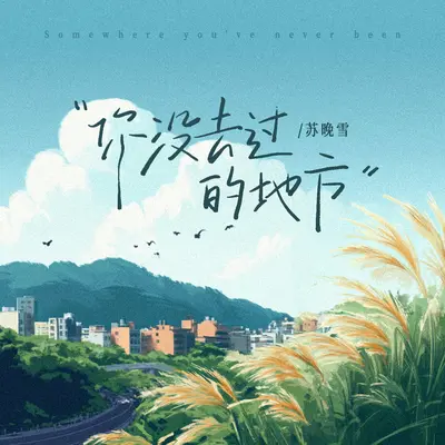 你没去过的地方封面