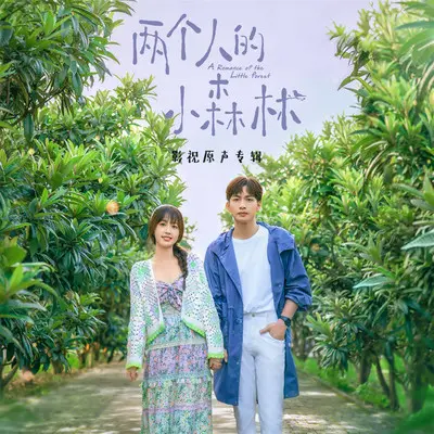 Welcome to my world(哼唱版)(电视剧《两个人的小森林》配乐)封面