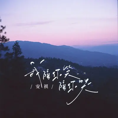我陪你笑陪你哭封面