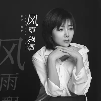 风雨飘洒(DJ花荣版)封面
