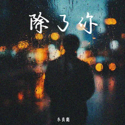 除了你封面