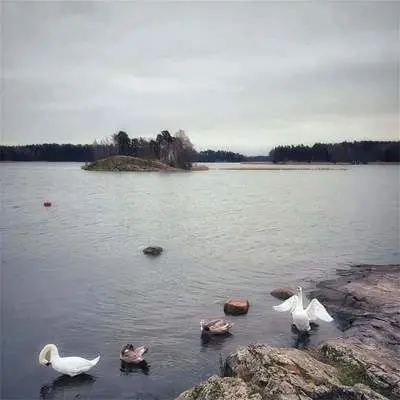 登场封面