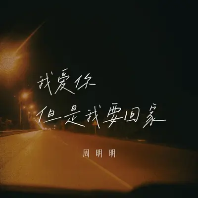 我爱你但是我要回家封面