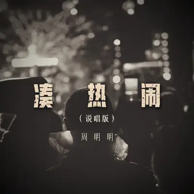 凑热闹(说唱版)封面