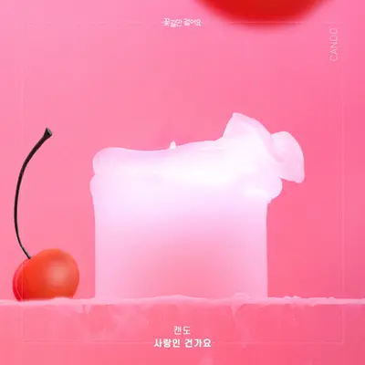 사랑인건가요封面