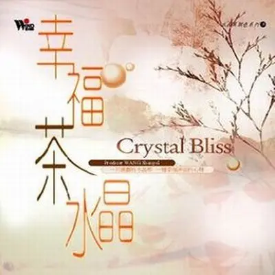 黄梅戏封面