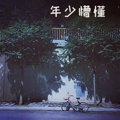 一个人的寂寞是两个人的错封面