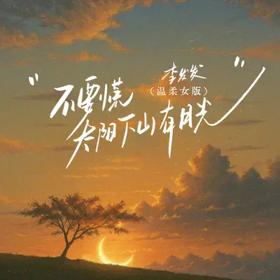 不要慌太阳下山有月光（温柔女版） - 李发发封面
