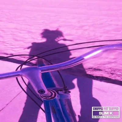 Snooze.. (ChopNotSlop Remix)纯音乐封面