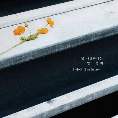 너의 슬픈 눈을 기억해封面