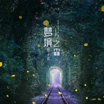 梦境之森(伴奏)封面