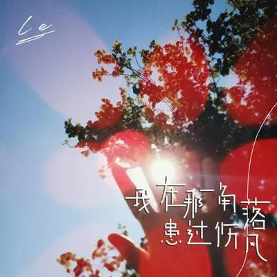 我在那一角落患过伤风封面