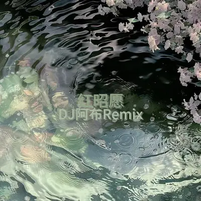 红昭愿(慢摇DJ)封面