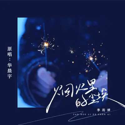 烟火里的尘埃(DJHZ版)封面