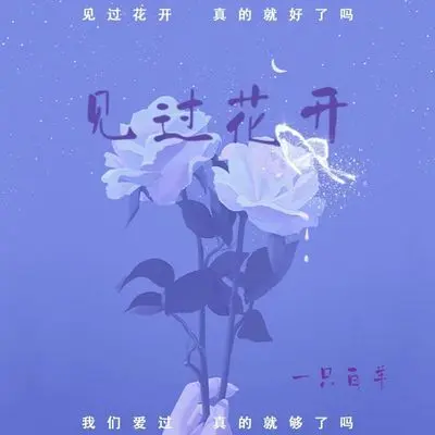 见过花开封面