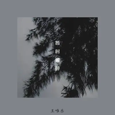 暂时破碎(伴奏)封面