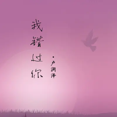 我错过你(伴奏)封面