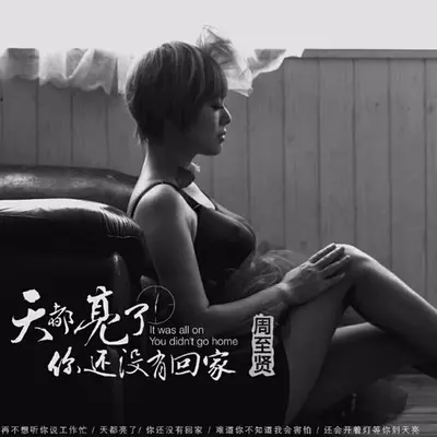 天都亮了你还没有回家封面
