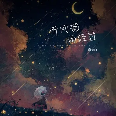 听风说雨经过(深情版伴奏)封面