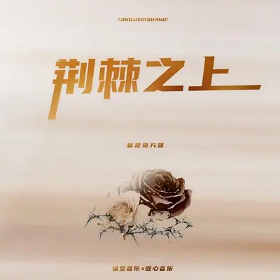 荆棘之上 (伴奏) - 就是南方凯封面
