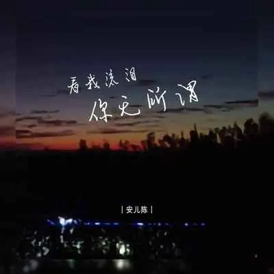 看我流泪你无所谓(完整版) - 安儿陈封面