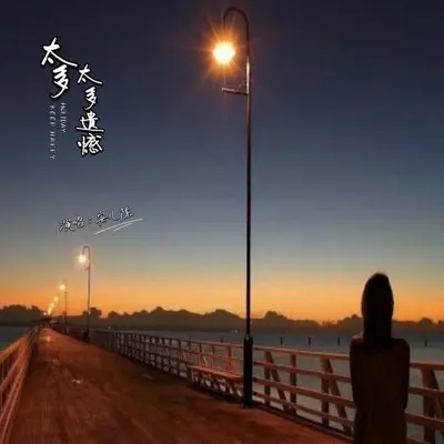 太多太多遗憾 - 安儿陈封面