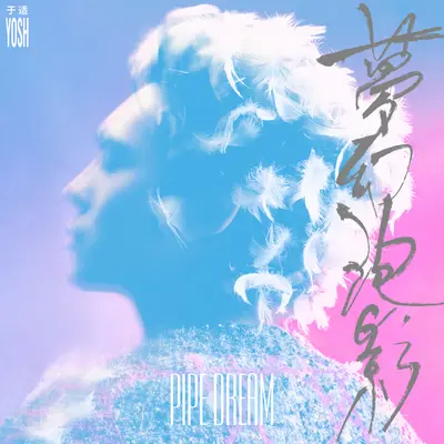 梦幻泡影封面