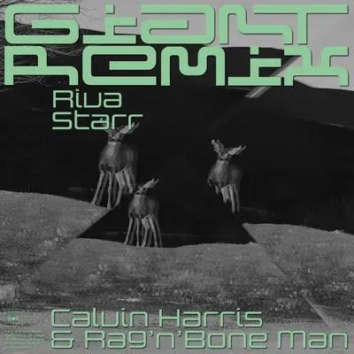 Giant(Riva Starr Tribe Vibe Remix)封面