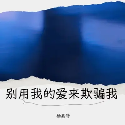 别用我的爱来欺骗我封面