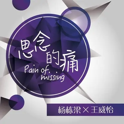 思念的痛封面